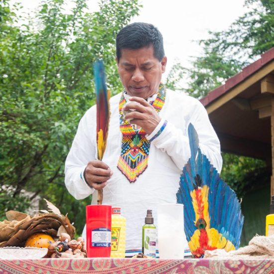 Ayahuasca: la liana degli spiriti
